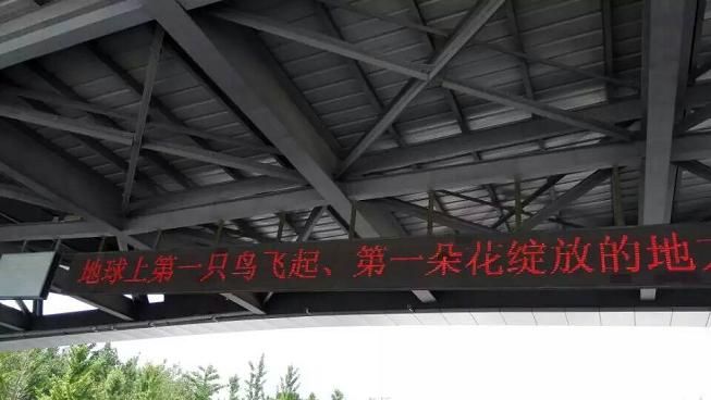 世界上第一朵花綻放的地方，第一只鳥飛起的地方